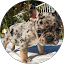 Calvin Hall Avatar