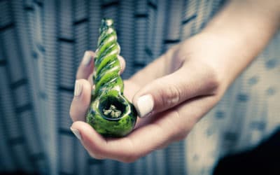 A Beginner’s Guide to Cannabis: