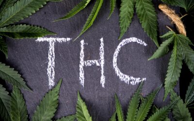 THC Detox: Myths and Facts