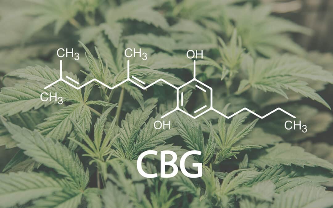 Unveiling Cannabigerol (CBG): The Cannabis Compound Powering Health and Wellness
